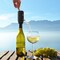 Ivation Wine Aerator and Dispenser Spout, Electric Wine Pourer and Stopper
